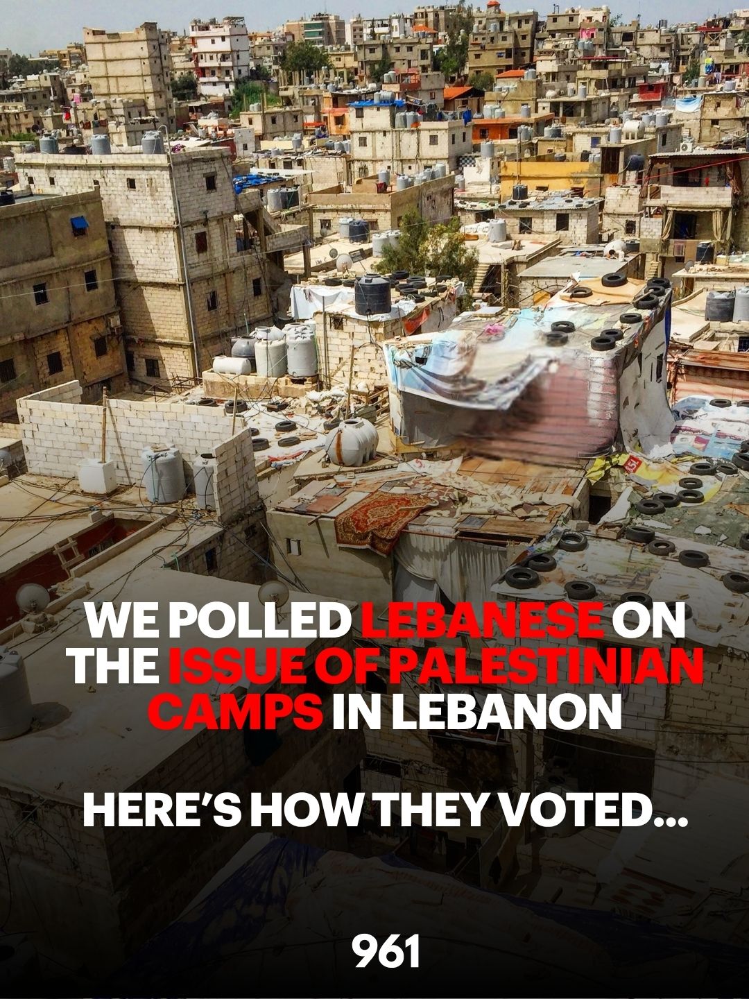 palestinian camps poll